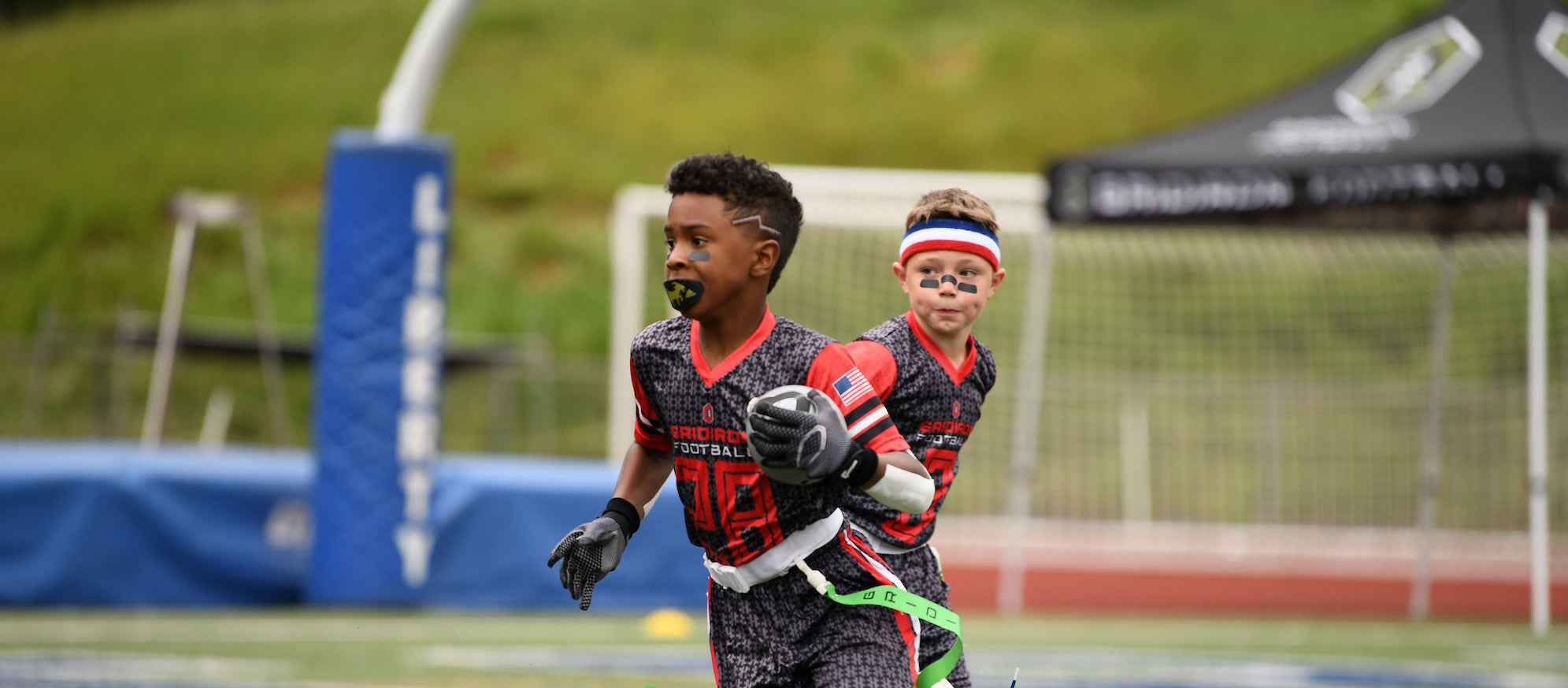 How are ball carriers like zebras?